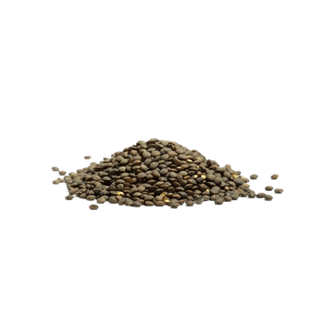 Green Lentils From France In Bulk