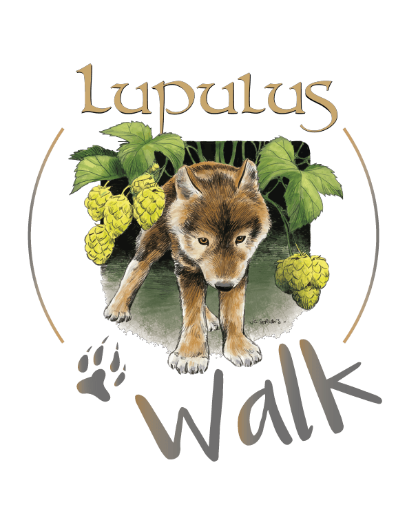 Brasserie Lupulus