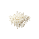 Geraspte Kokos in Bulk bio