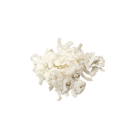 Shredded Coconut in Bulk organic