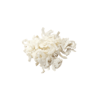 Noix De Coco Rapée En Vrac BIO