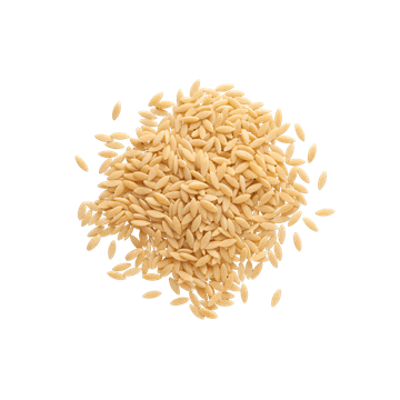 Wheat Orzo In Bulk