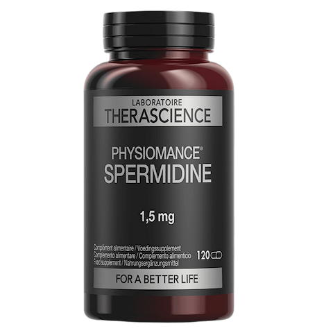 Spermidine Longevity & Cell Renewal 