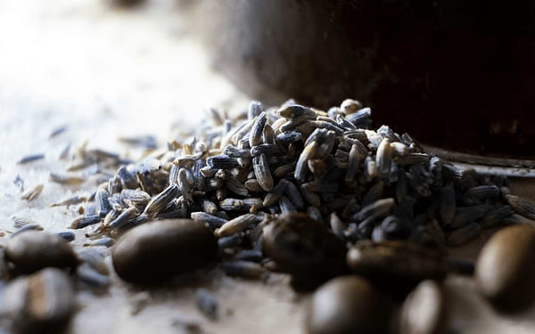 Flax seeds: benefits, uses, storage
