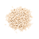 Pijnboompitten In Bulk bio