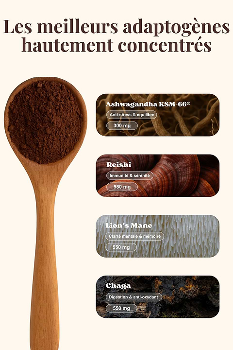 Alternative Café Adaptogène – Gout Chaï Cacao