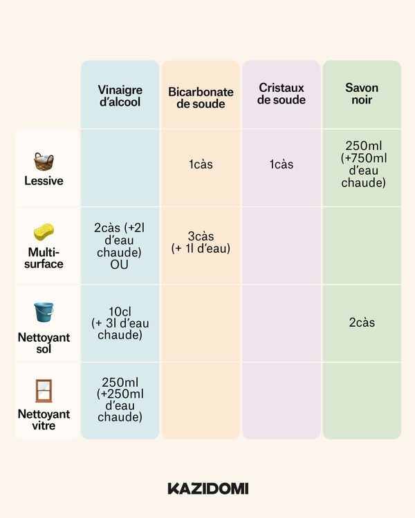 Pack Poudres Découverte Entretien (percarbonate, bicarbonate, acide citrique et soude)