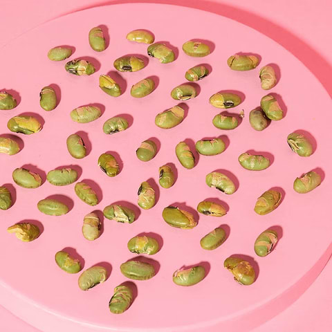 Salted Roasted Edamame Beans