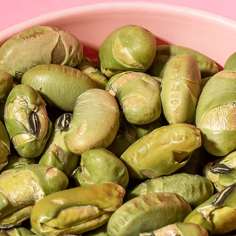 Salted Roasted Edamame Beans