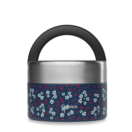 RVS Isothermische Lunchbox met Blauwe Handvat 0