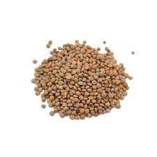 Brown Lentils In Bulk