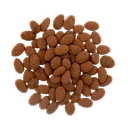 Dark Chocolate Praline Almonds organic