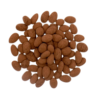 Praliné Amandelen Pure Chocolade bio