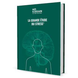 Ebook: Het Grote Stress Onderzoek