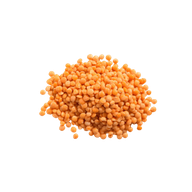 Rode Linzen in Bulk bio