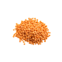 Rode Linzen In Bulk BIO