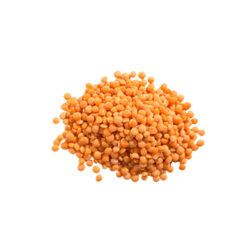 Lentilles Corail En Vrac BIO