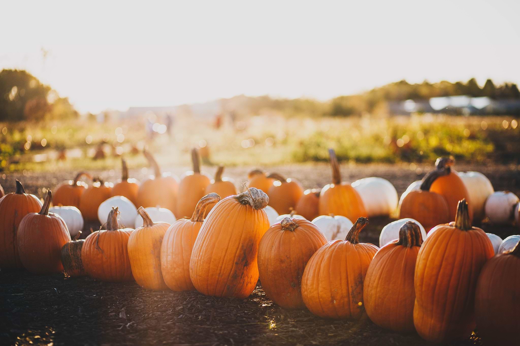 5 supplements to start autumn off on the right foot