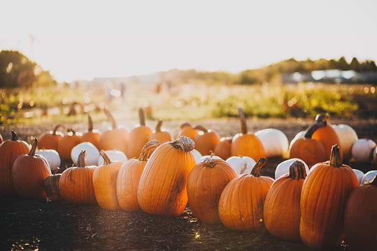 5 supplements to start autumn off on the right foot