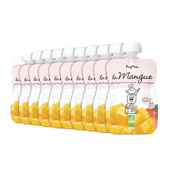 Mangopuree + 6 Maanden BIO