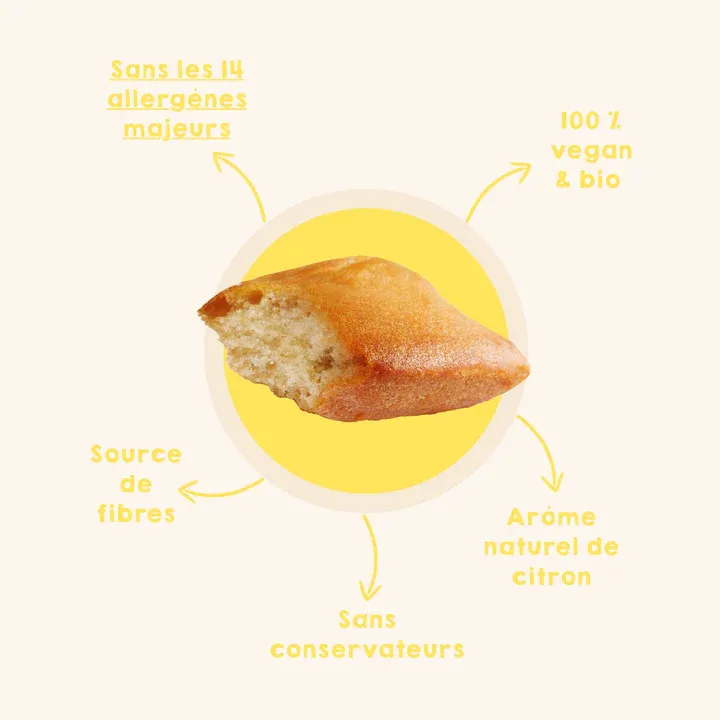 Moelleux Nature sans gluten