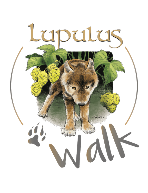 Brasserie Lupulus