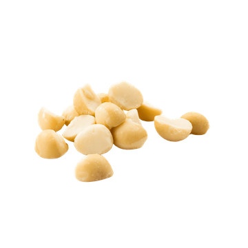 Macadamia Nuts In Bulk Organic