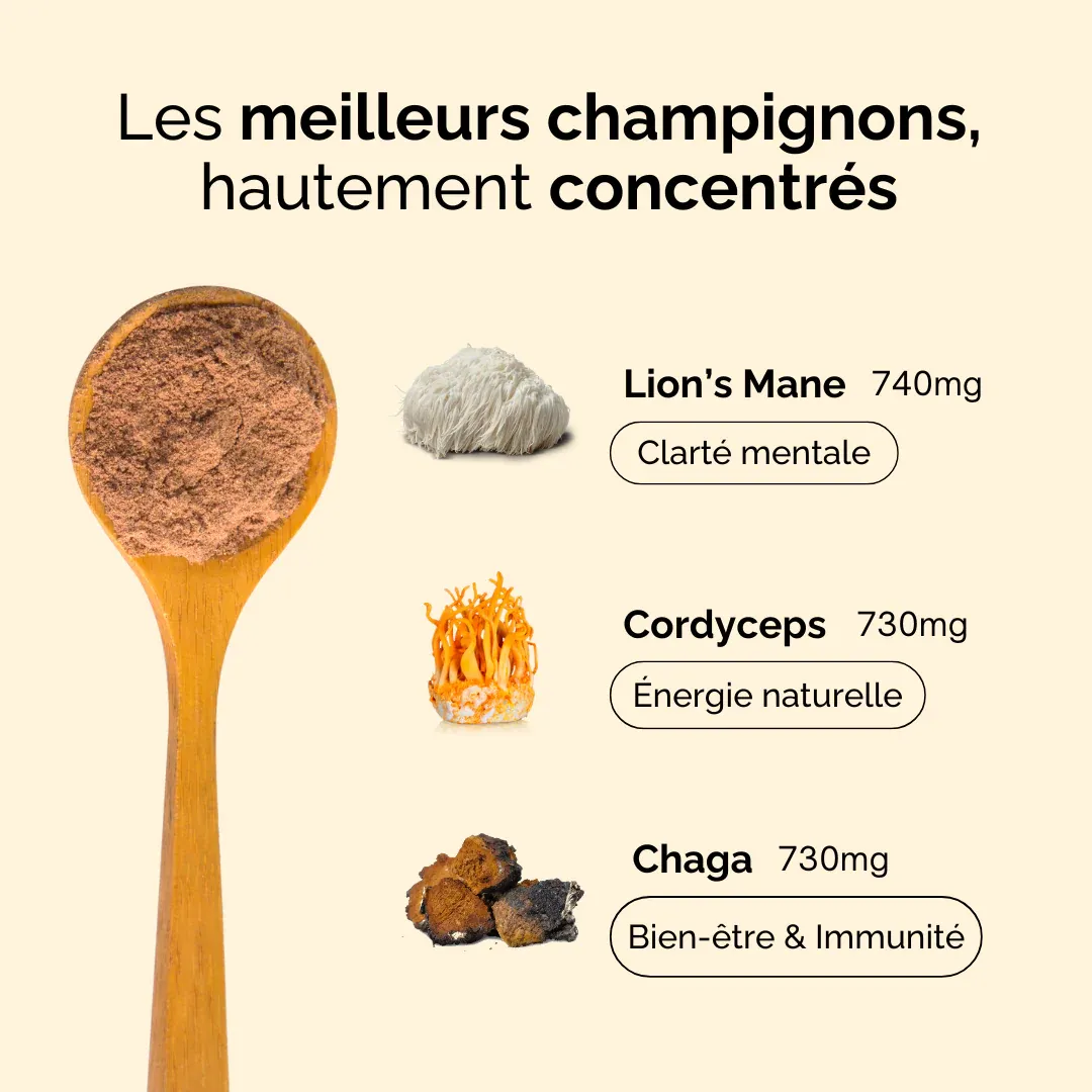 Alternative Café Originale