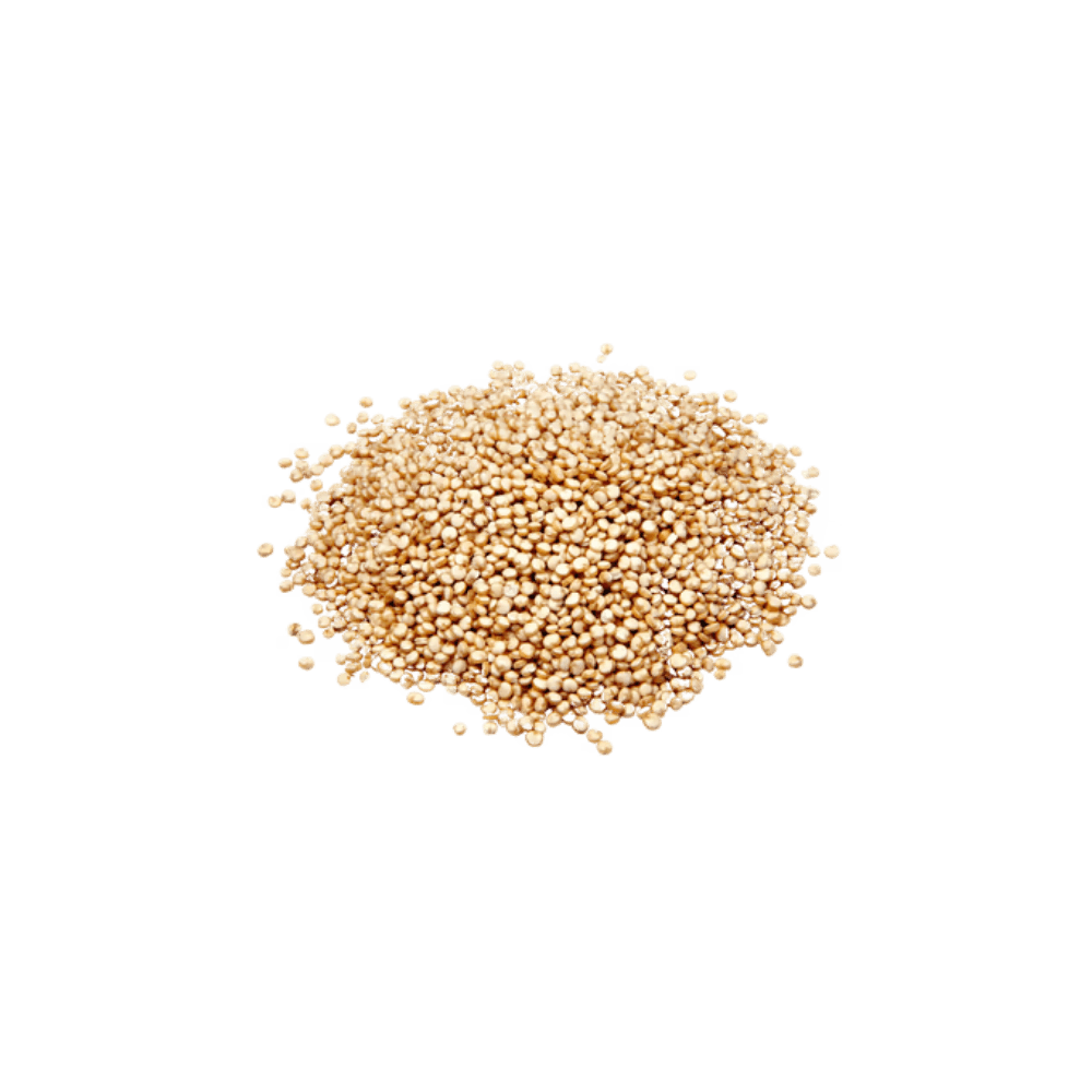 Quinoa bio