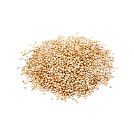 Witte Quinoa in bulk bio