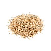 White Quinoa In Bulk Organic