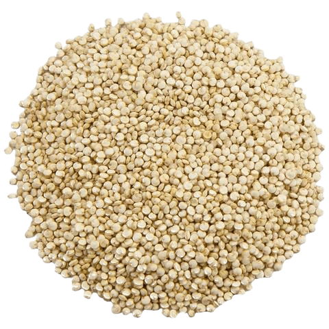 Quinoa Blanc Origine Belgique en Vrac