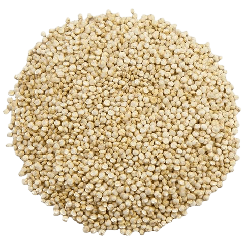 Quinoa Blanc Origine Belgique en Vrac 0