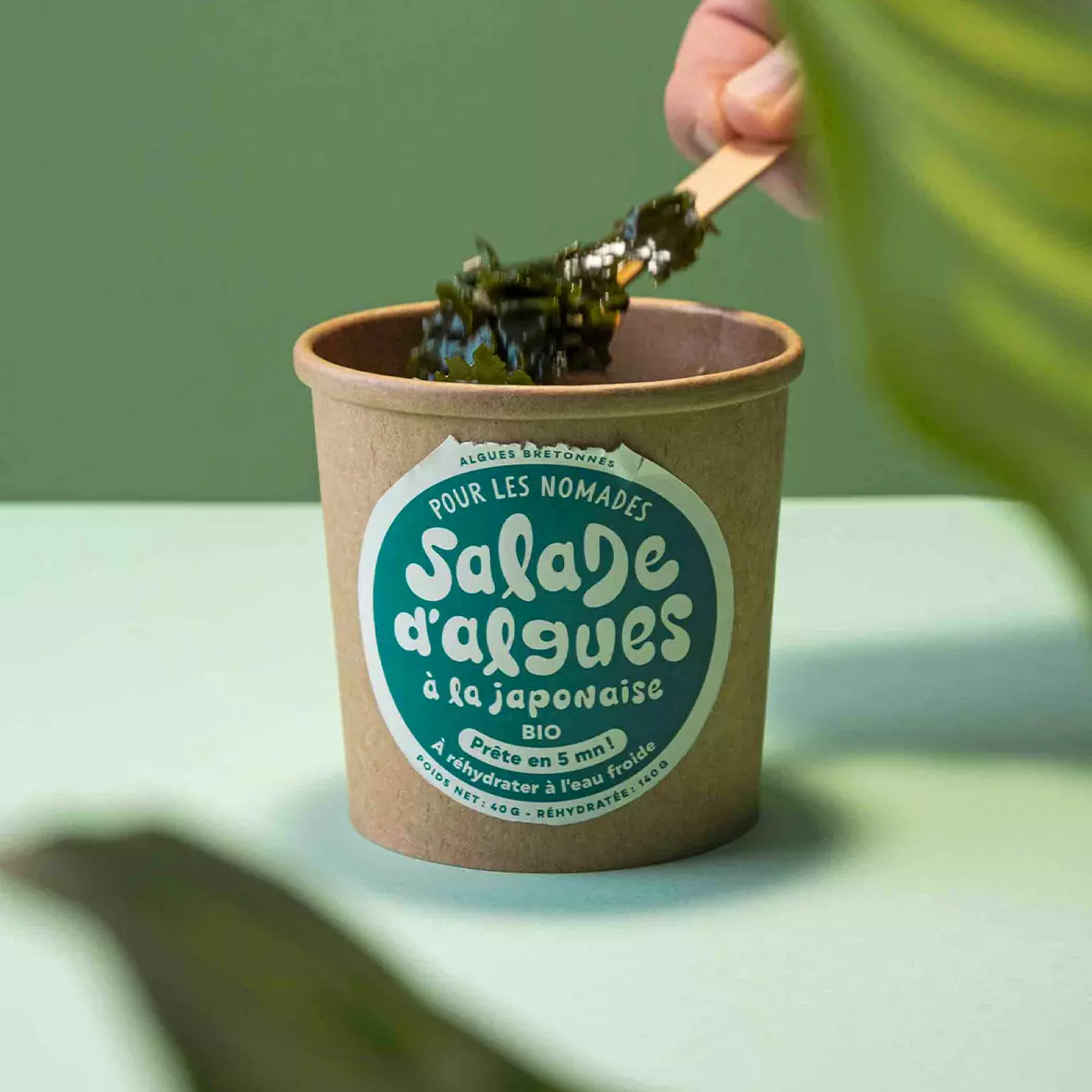Prepared Seaweed Salad