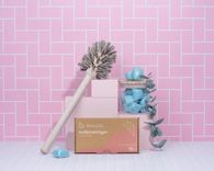 Toilet Cleaner Organic 1