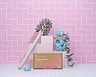 Toilet Cleaner Organic 1