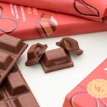Gluten-Free Chocolate Filled with Hazelnut Praline 2