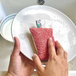 Coral Washable Sponge 1