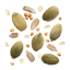 100% Seed Mix in Bulk