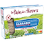 Tartines Craquantes Sarrasin Sans Sel Sans Sucre