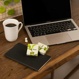 Chewing Gum Menthe 3