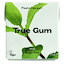 Chewing Gum Menthe