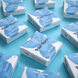 Chewing Gum Menthe Forte 1