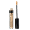 Sesame Concealer