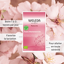 Tisane Allaitement Fruits Rouges 2