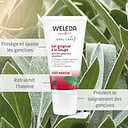 Gel Gingival Sauge 2