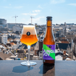 Bière Fruitée Jungle Joy 1