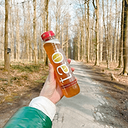 Boisson Pure Infusion Thé Rooibos 1