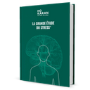 Ebook: Het Grote Stress Onderzoek 0