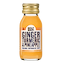 Shot Concentré Detox Gingembre Curcuma Ananas